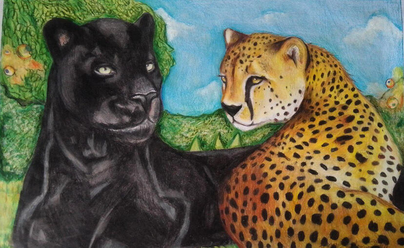 Cheetah and Panter